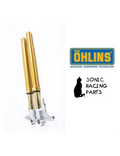 Fgrt 308 forcella oro - forcella, ohlins