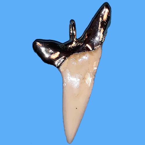 Ciondolo argento dente - ciondolo,