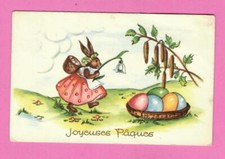 Belgio CONIGLIO PASQUALE E