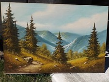 PAESAGGIO DI MONTAGNA di