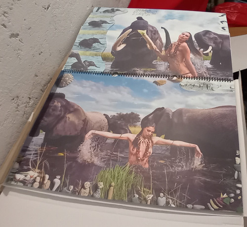 Calendario pirelli 2009 - calendario, peter