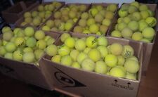 50 palle palline da tennis e/o padel usate x gioco cani  ?