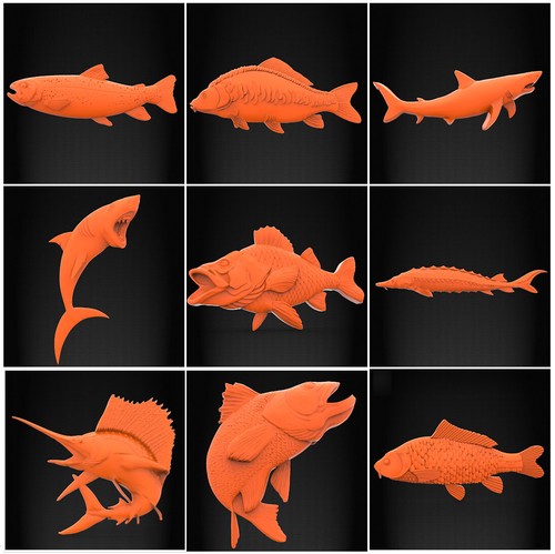 Sollievo lima stl pesce per - stl, 3d
