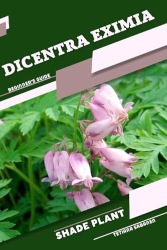 Sabanen dicentra eximia - dicentra,