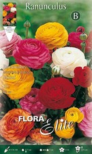 BULBI AUTUNNALI RANUNCULUS