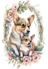 CORGI BEAUTIFUL DOG & PUPPY