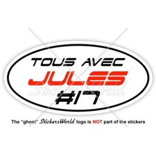 Adesivo JULES BIANCHI #17 TOUS