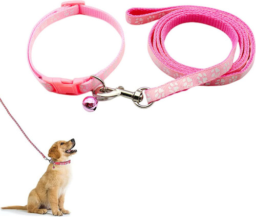 Collare cane guinzaglio per - guinzaglio,