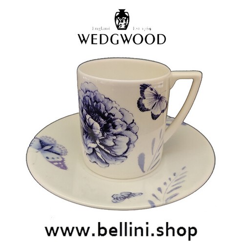 Wedgwood blue butterfly - jc,