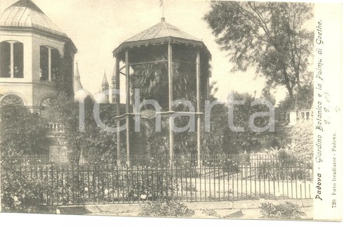 1907 padova giardino botanico - padova,