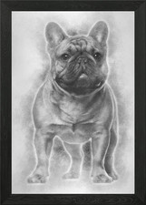 Bulldog francese cucciolo 4