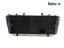 Radiatore Aprilia Tuono RSV