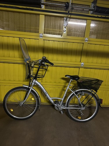 Family bike - family,
