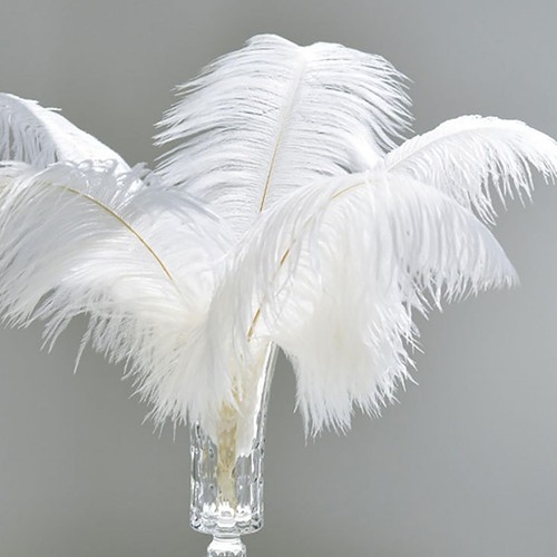 Dinghaole piume struzzo - dinghaole,