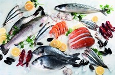 PVC Fish Print Induction