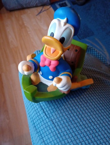 Donald duck rowing boat - donald, in
