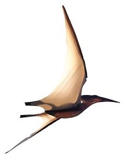 Jurassic kites pterodattil - jurassic,