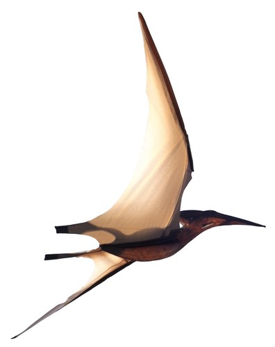 Jurassic kites pterodattil - -,