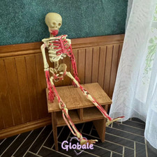 Miniatura casa delle bambole