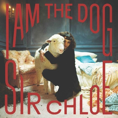 Sir chloe the dog - sir,