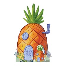Cartonato Di Casa Ananas Di