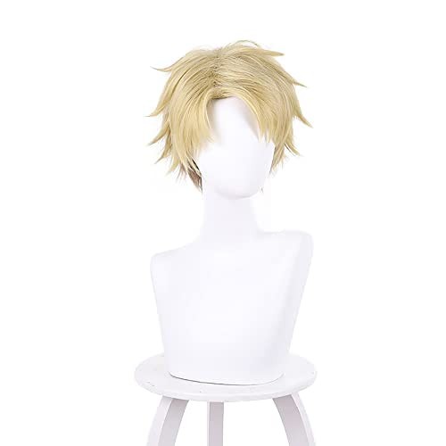 Parrucca cosplay lloyd forger - parrucca,