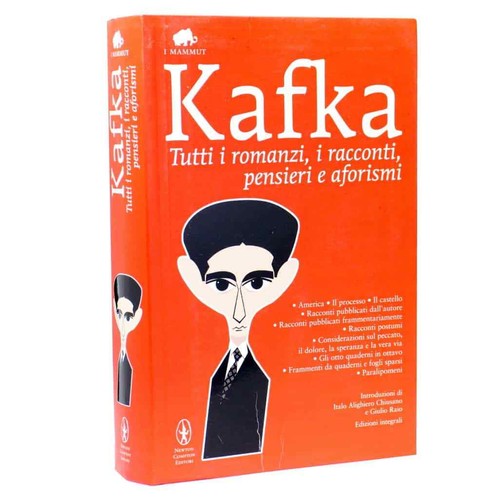 Kafka tutti romanzi - romanzi, i