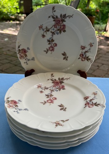Set six haviland - set,