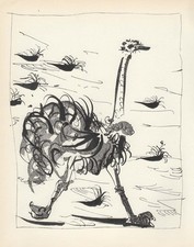 Pablo Picasso - Lo struzzo -