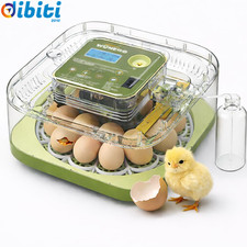 Incubatrice Automatica per