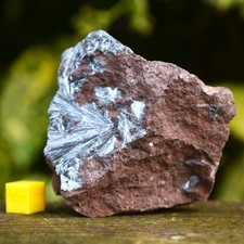 Pyrolusite Sunburst on Matrix