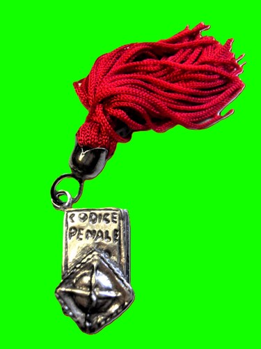 Laurea codice penale - codice,
