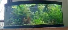 acquario completo juwel vision