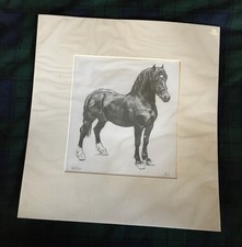 Quadro vintage stampa cavallo