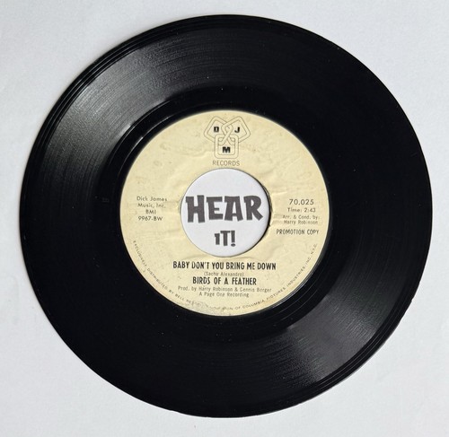 Northern soul birds a - birds,