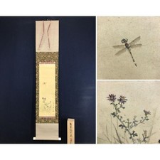 Autentico dipinto libellula