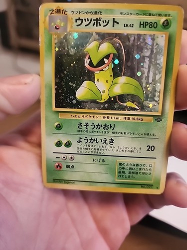 Carta pokémon giapponese - pokémon,