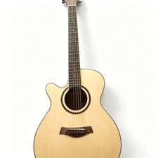 Chitarra acustica-elettrica
