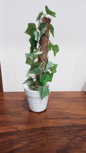 Pianta edera artificiale - di,