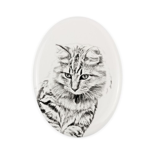 Bobtail americano lapide con