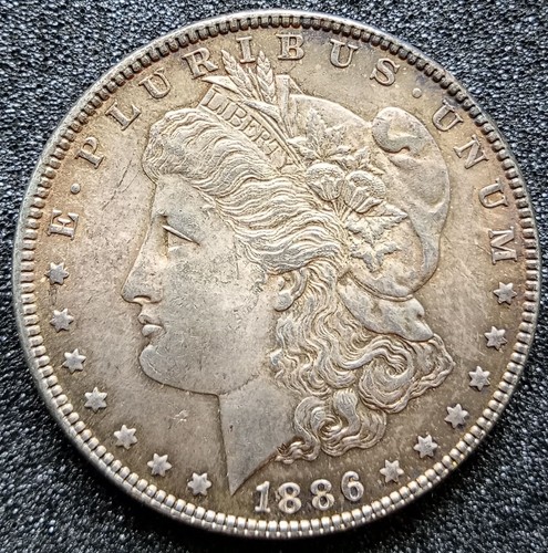 Moneta argento dollaro - moneta,