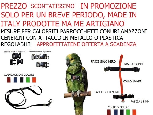 Pettorina elastica attacco