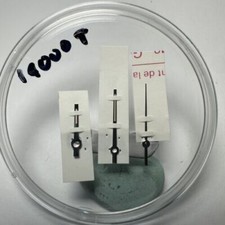 Rolex 14000 Air King Vintage Hands set for caliber 3000