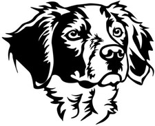 Adesivo EPAGNEUL BRETON -