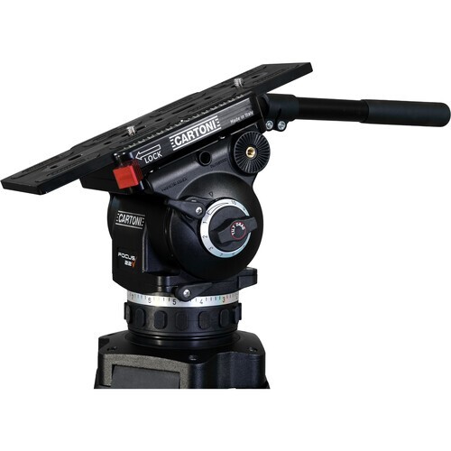 Cartoni focus testa - testa, fluida