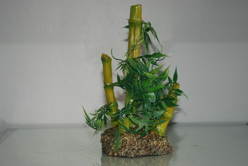 Terrario dettagliato bamboo - dettagliato,
