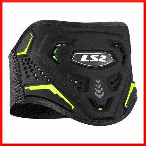 Fascia elastica lombare - fascia,