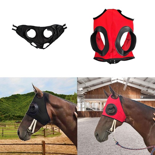 Occhiali equitazione - occhiali,