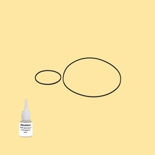 Cinghia Olio = Kit 5 per