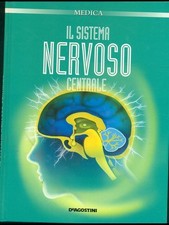 IL SISTEMA NERVOSO CENTRALE